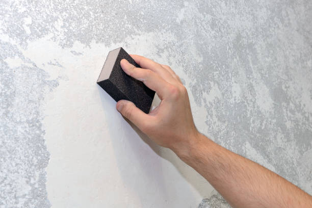 Forensic Mold Investigation in Walthourville, GA