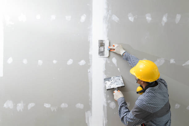 Best Asbestos and Lead Testing During Mold Inspection  in Walthourville, GA