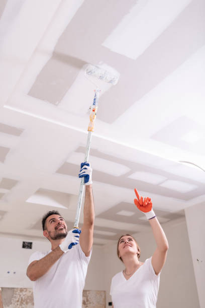 Best Mold Odor Removal Services  in Walthourville, GA