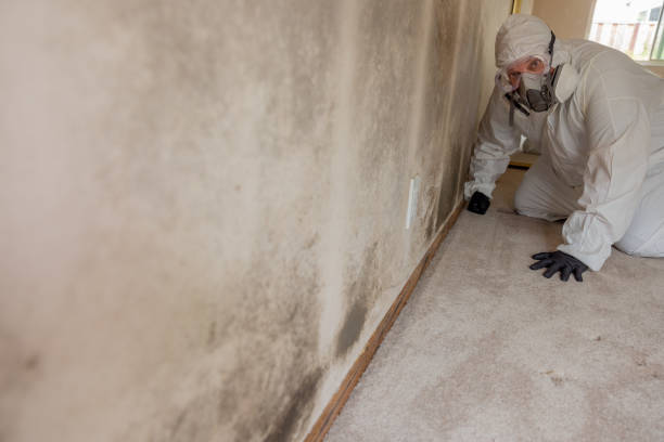 Best Commercial Mold Inspection  in Walthourville, GA