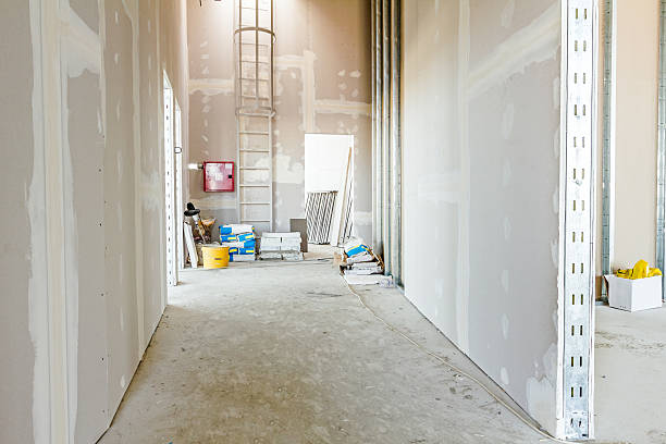 Best Real Estate Mold Inspection  in Walthourville, GA