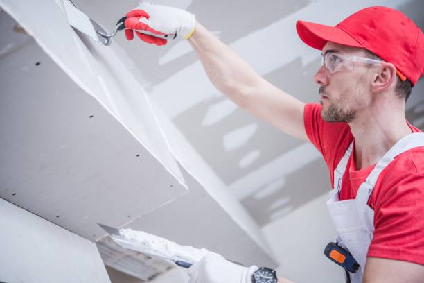 Best Industrial Mold Remediation  in Walthourville, GA