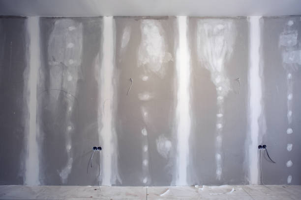 Best Crawl Space Mold Remediation  in Walthourville, GA
